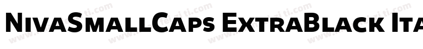 NivaSmallCaps ExtraBlack Italic字体转换